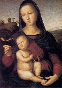 RAFFAELLO Sanzio Solly Madonna oil painting